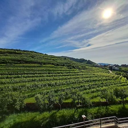 Wohnung In Der Wachau Weissenkirchen in der Wachau Dış mekan fotoğraf